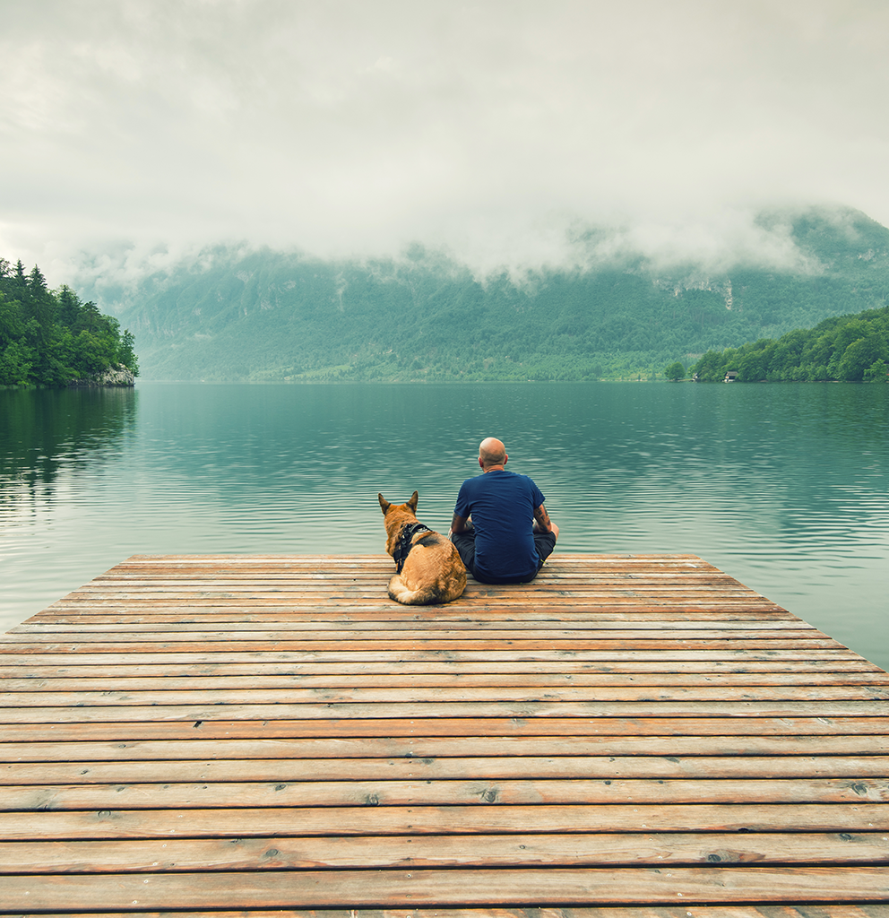 Chien et maître au bord d’un lac, conseils voyage animaux et prévention des parasites à Montréal.