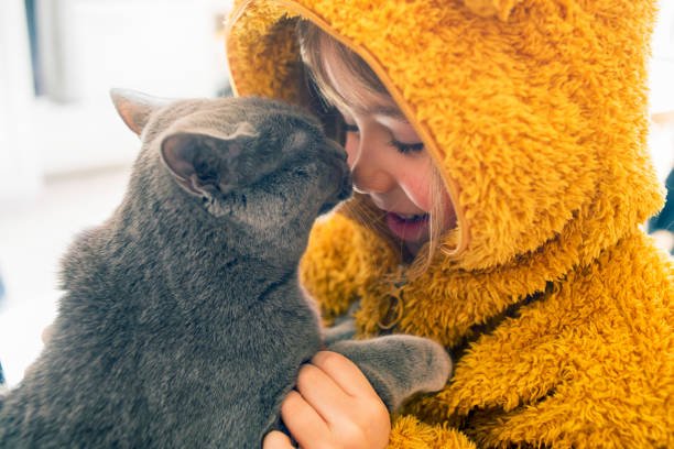 adopting a cat